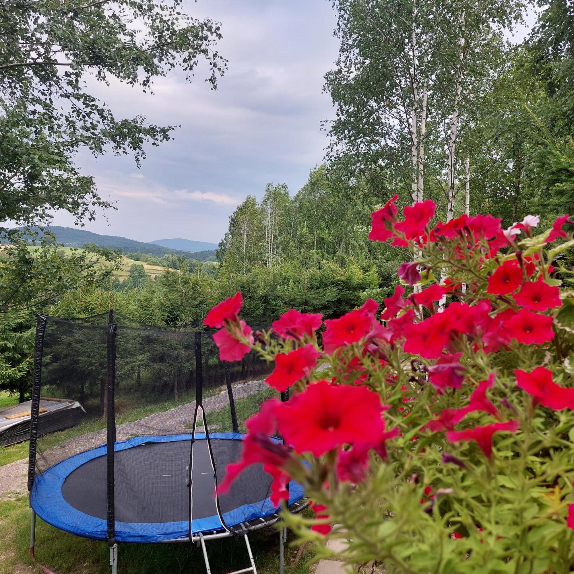 Swierkowy Zakatek U Bacy Wieprz  Exteriör bild
